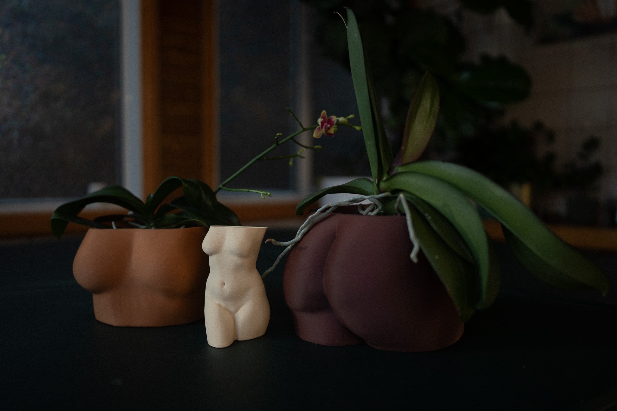 Planter {MuseKey}