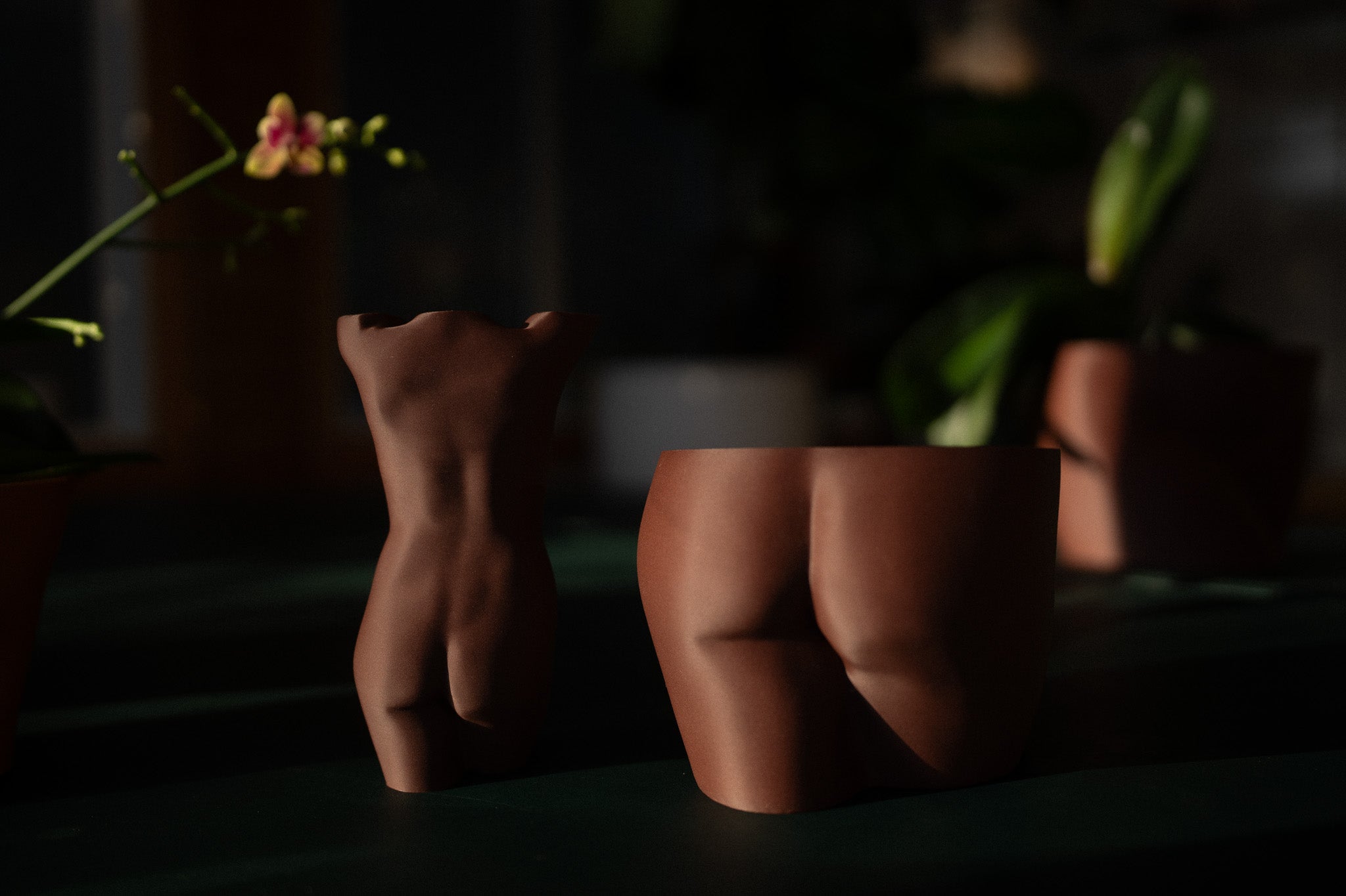 Planter {MuseKey}