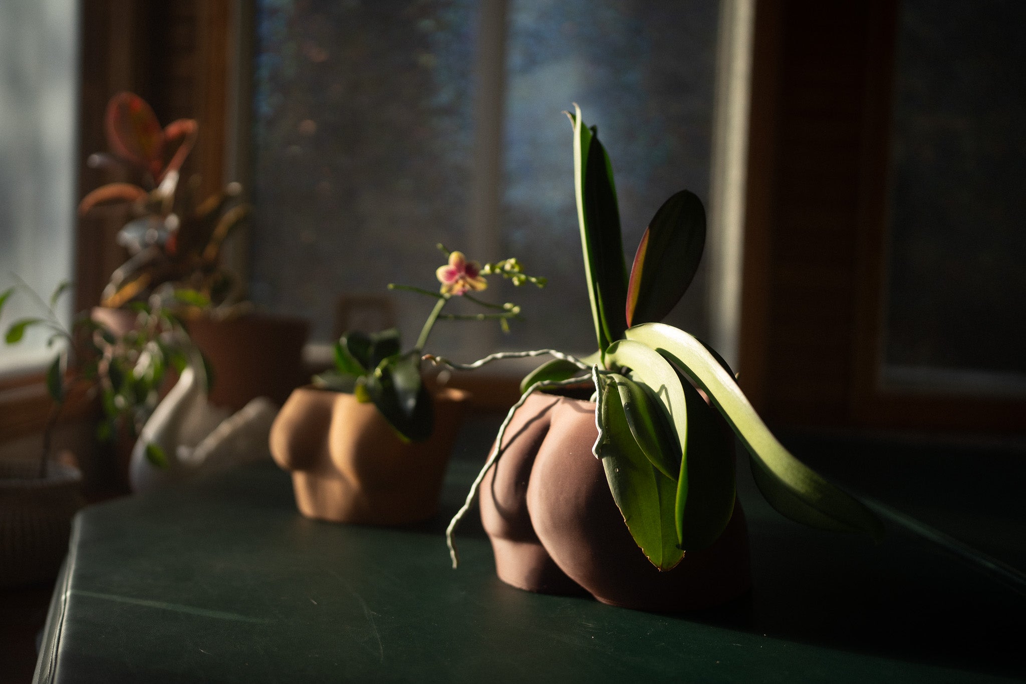 Planter {MuseKey}