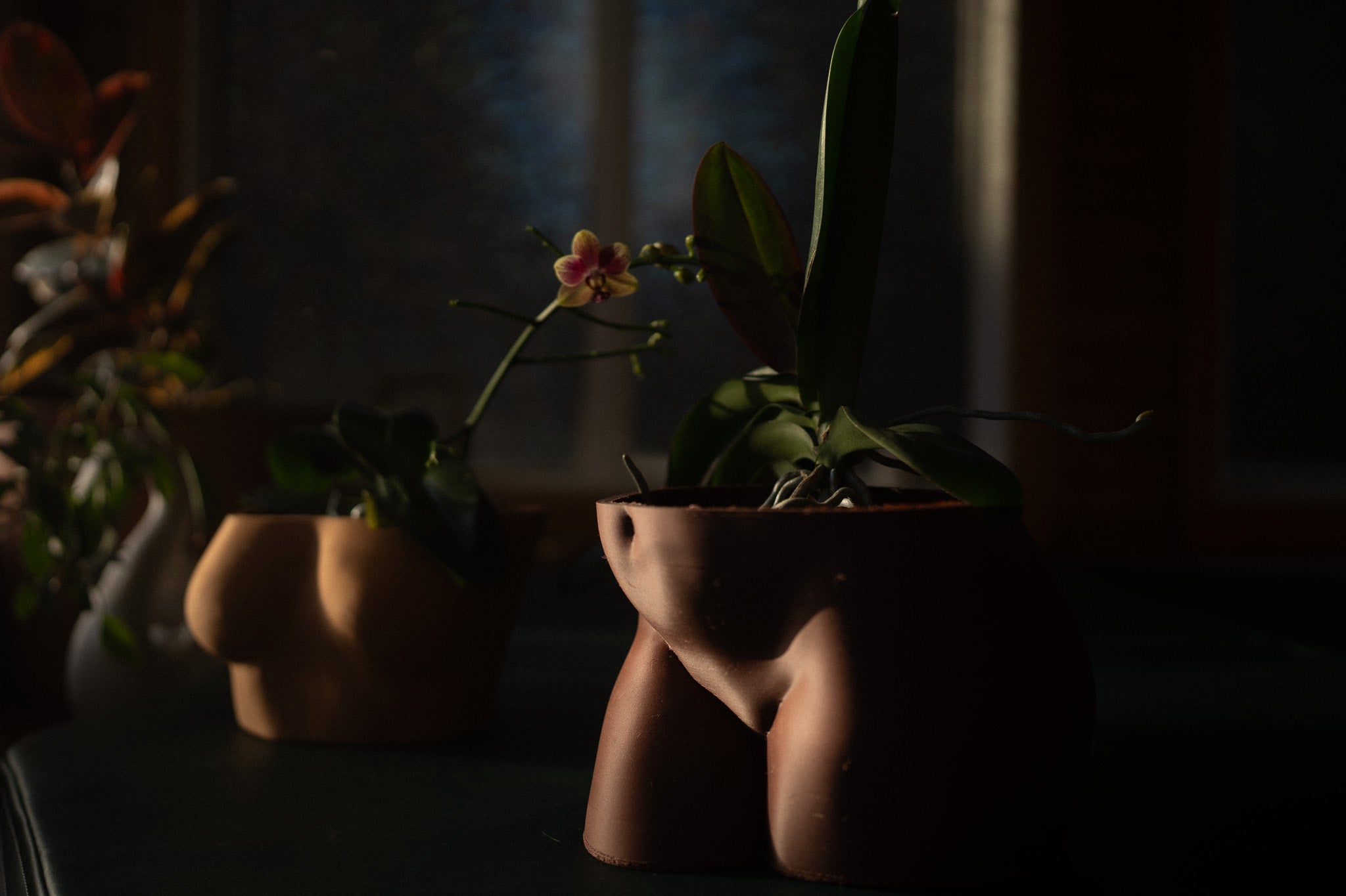 Planter {MuseKey}