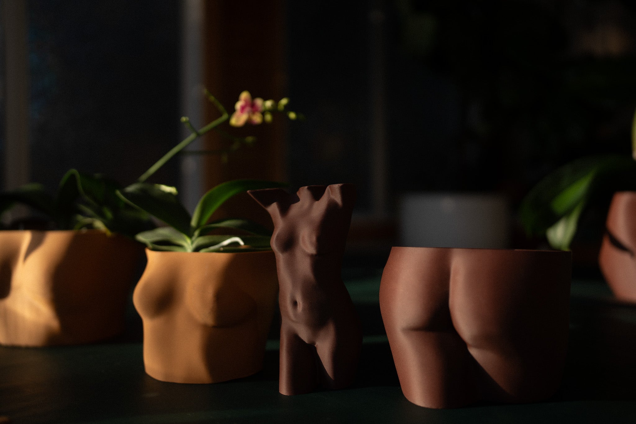 Planter {MuseKey}