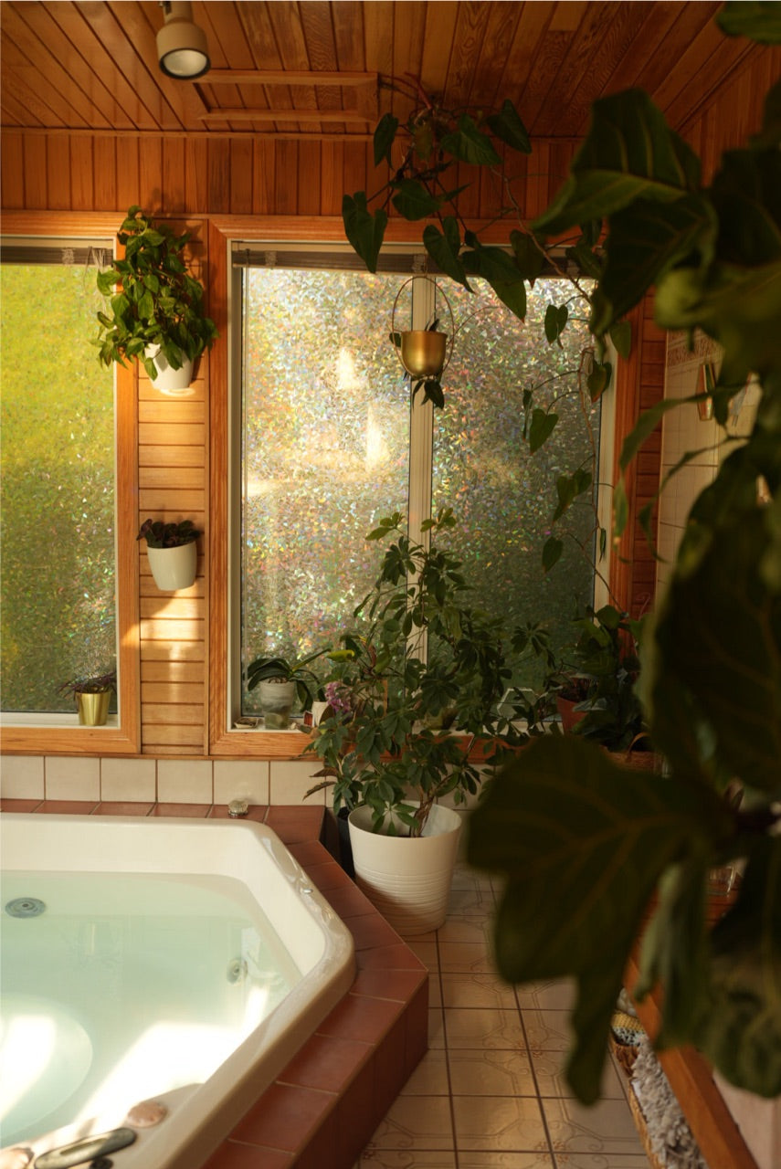 Hottub Jungle - Studio Rental