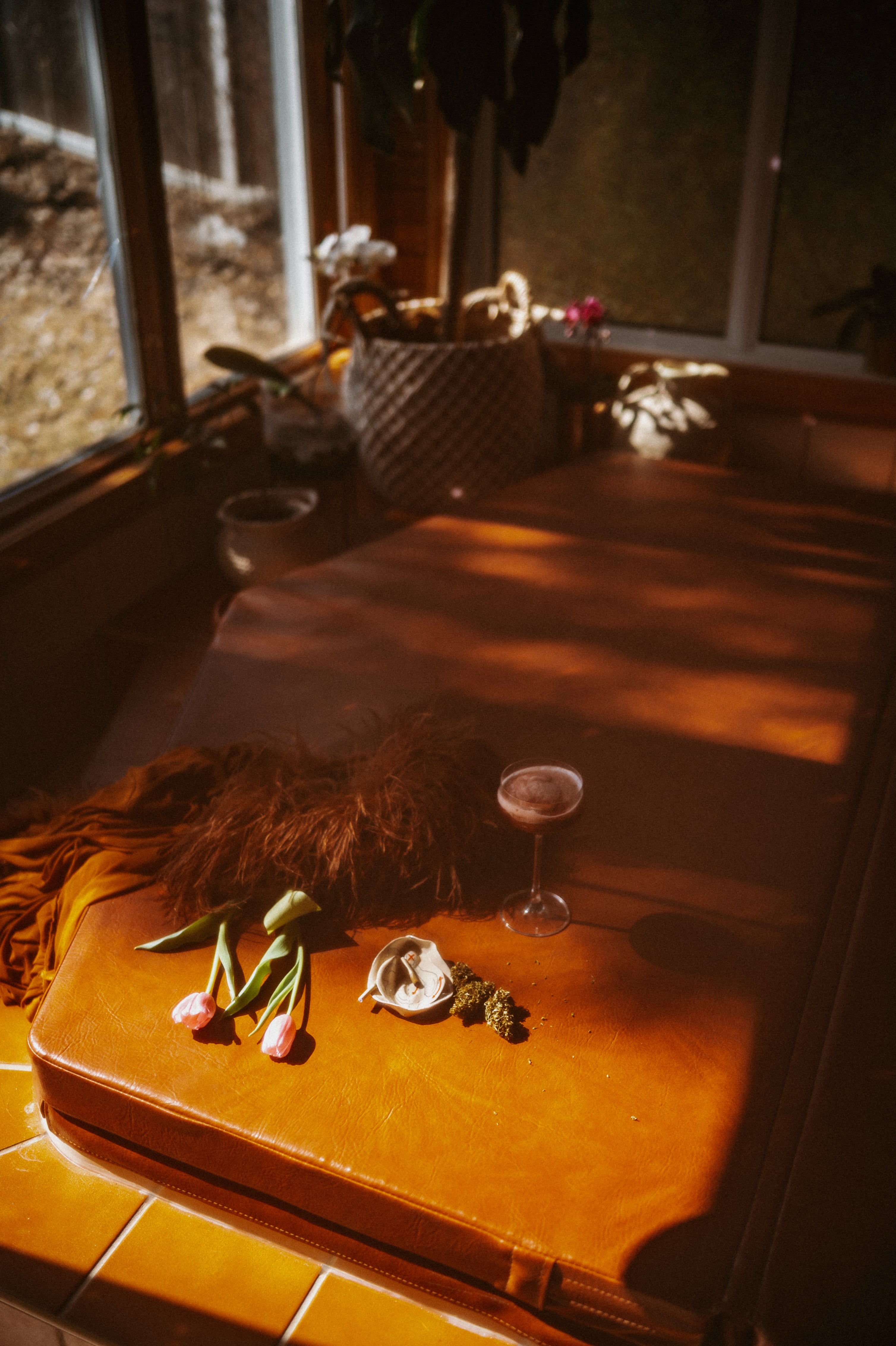 Hottub Jungle - Studio Rental