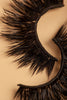 OKT Lashes. Best false eyelashes. Dramatic eyelashes. Best fake eyelashes. Edmonton False Eyelashes. Fake eyelashes. How to clean false eyelashes. How to apply false eyelashes. Fake eyelash storage. False eyelashes storage. Reusable false eyelashes.